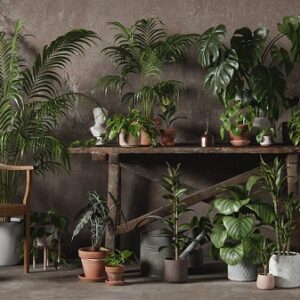 interior-plants-pack01